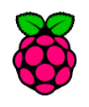 Raspberry pi logo | Iot Product Design