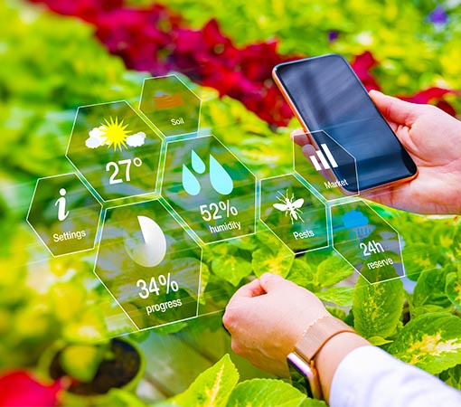 Monitoring smart greenhouse with the mobile app | Best Embedded Systems Companies